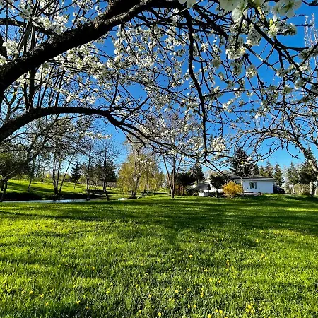 House Family Wiewiecko