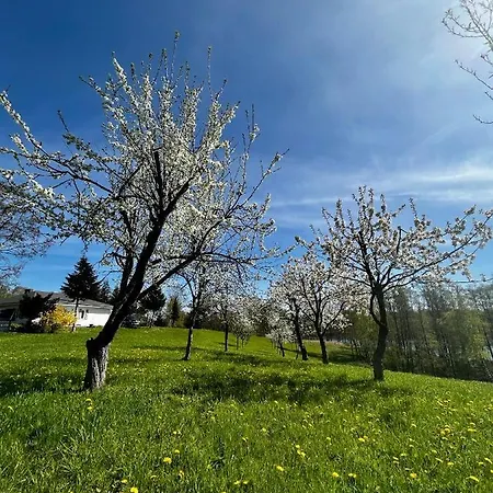 House Family וילה